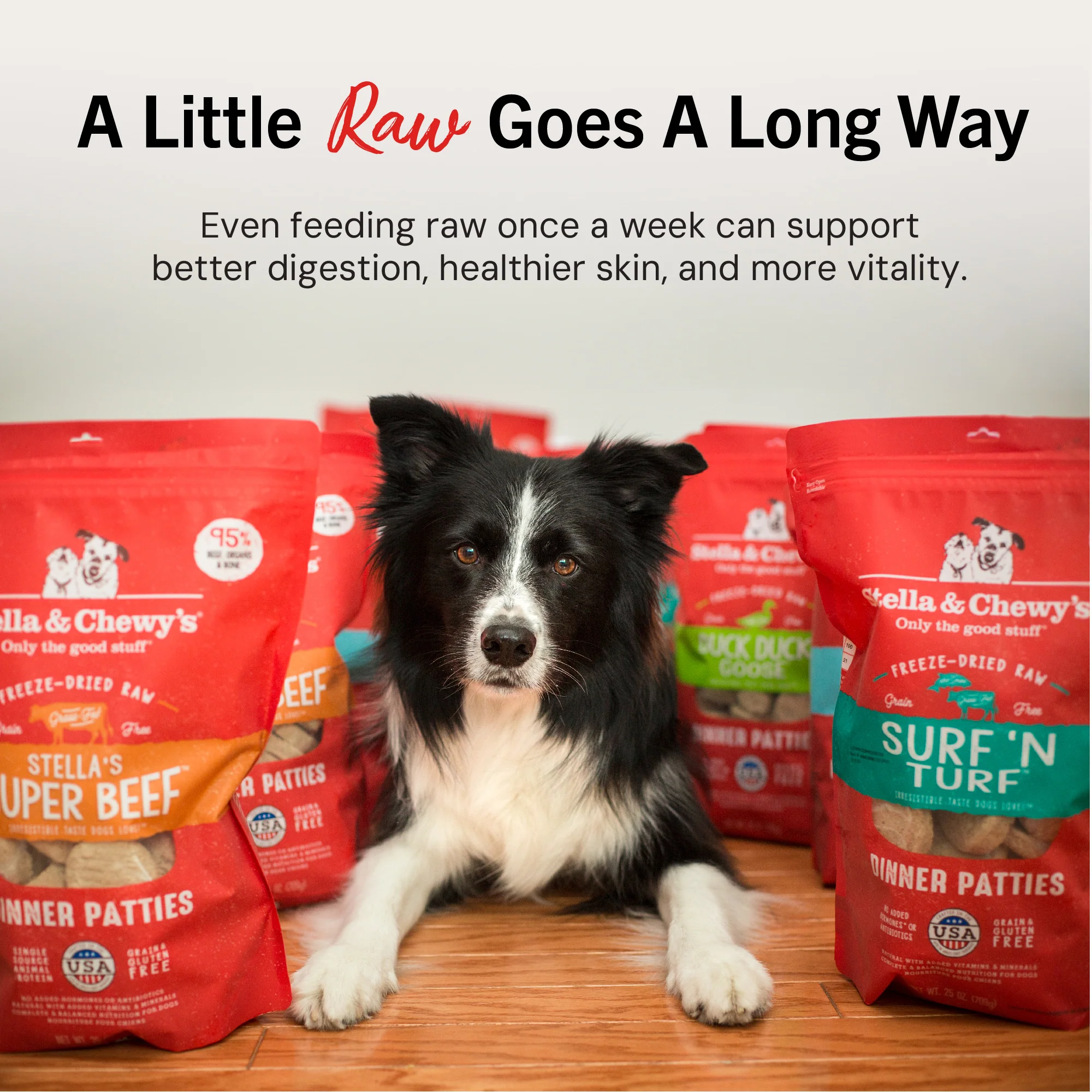 Dandy Lamb Freeze-Dried Raw Dinner Patties for Dogs - Image 7