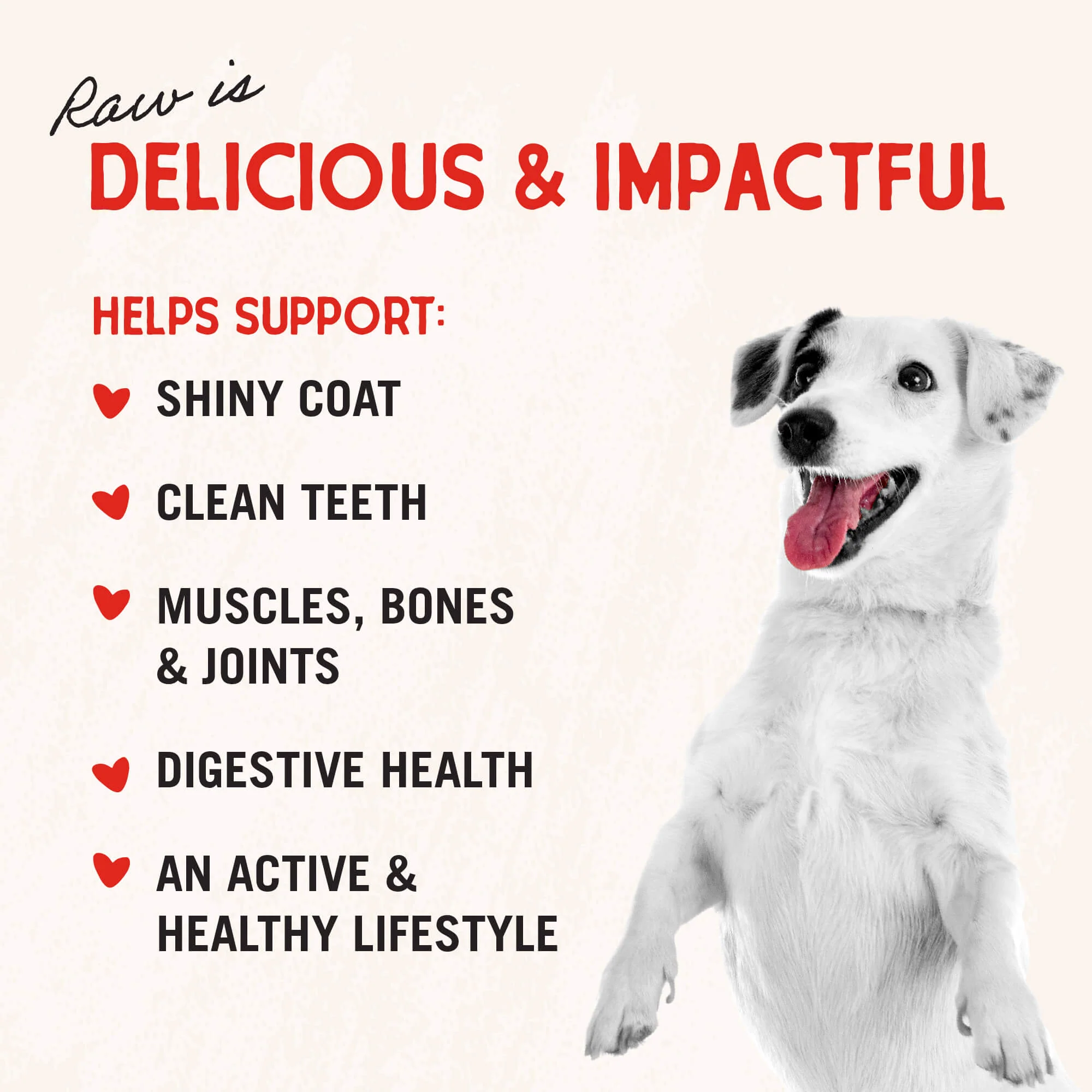Beef Liver Treats for Dogs - Image 5