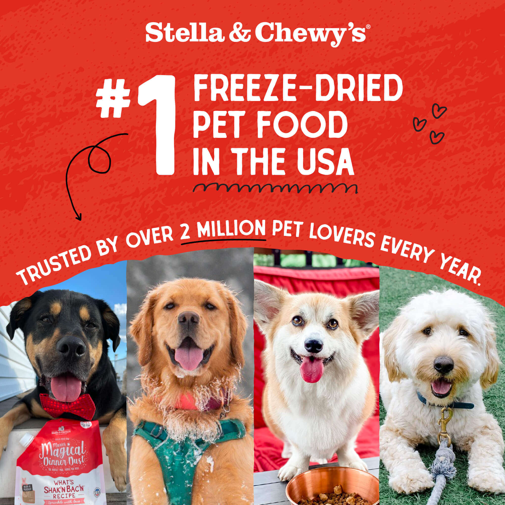 Beef Liver Treats for Dogs - Image 6