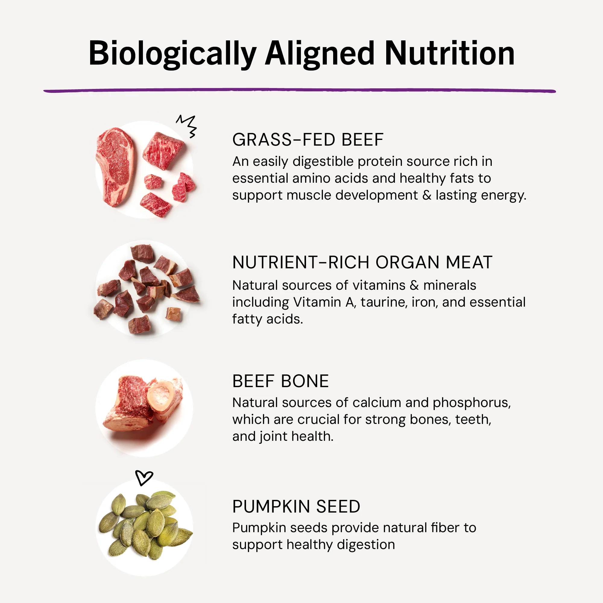 Bountiful Beef Freeze-Dried Raw Dinner Morsels for Cats - Image 11