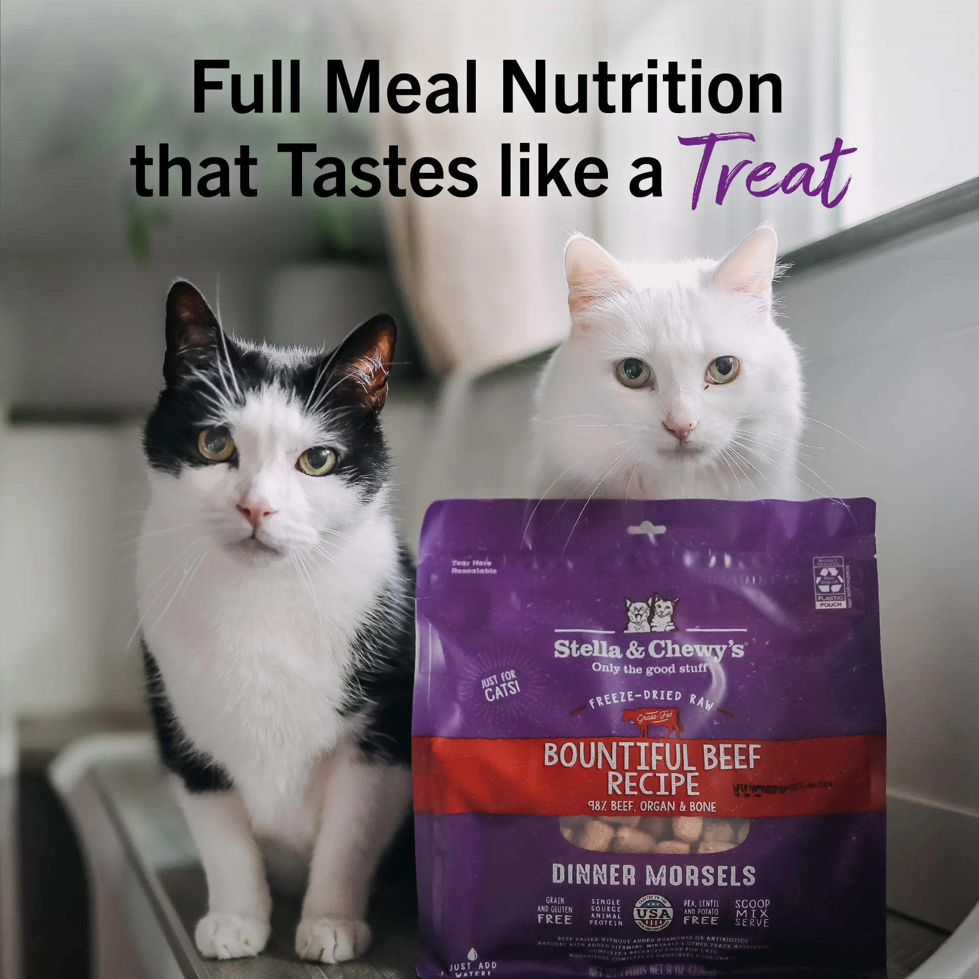Bountiful Beef Freeze-Dried Raw Dinner Morsels for Cats - Image 13
