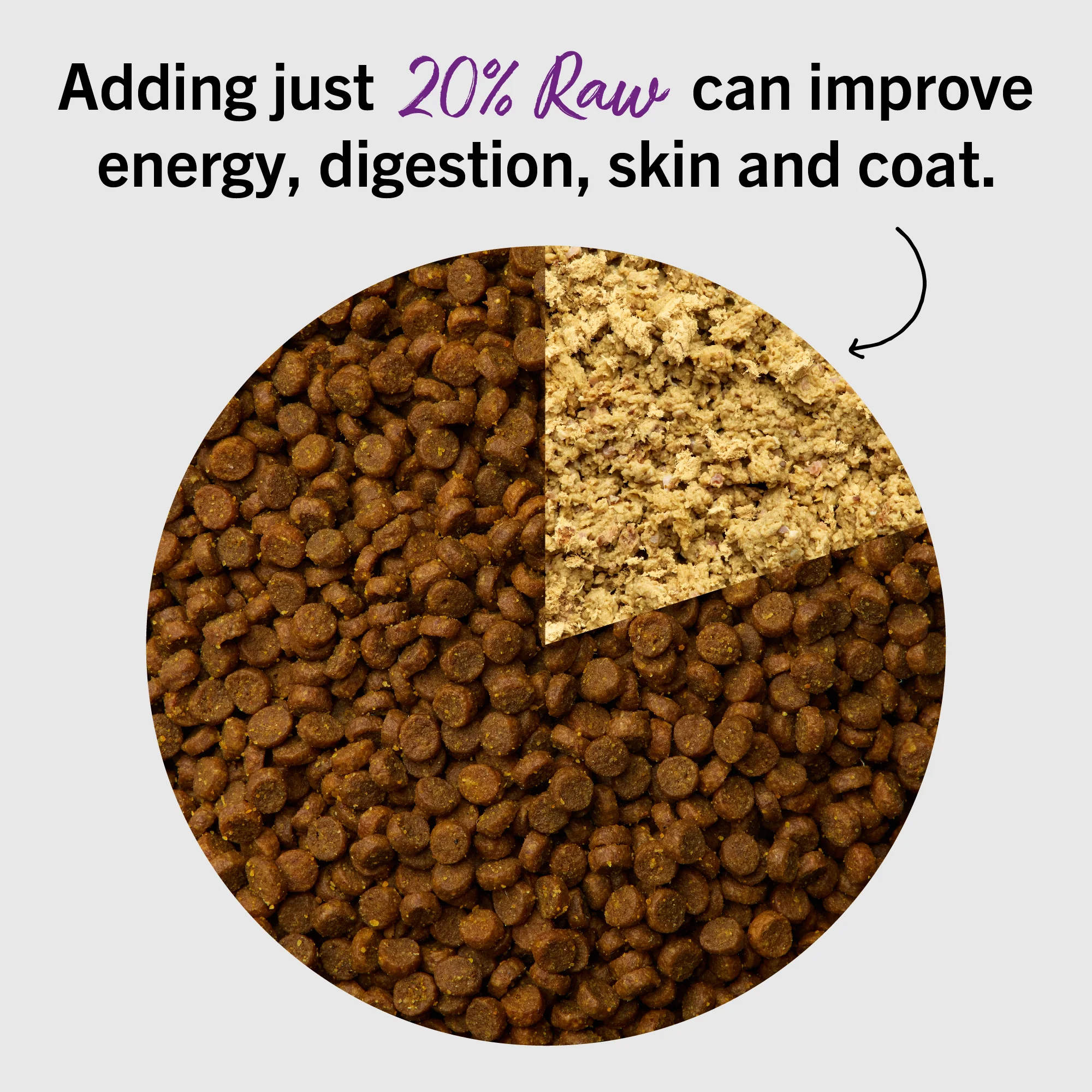 Sea-Licious Salmon & Cod Freeze-Dried Raw Dinner Morsels for Cats - Image 7
