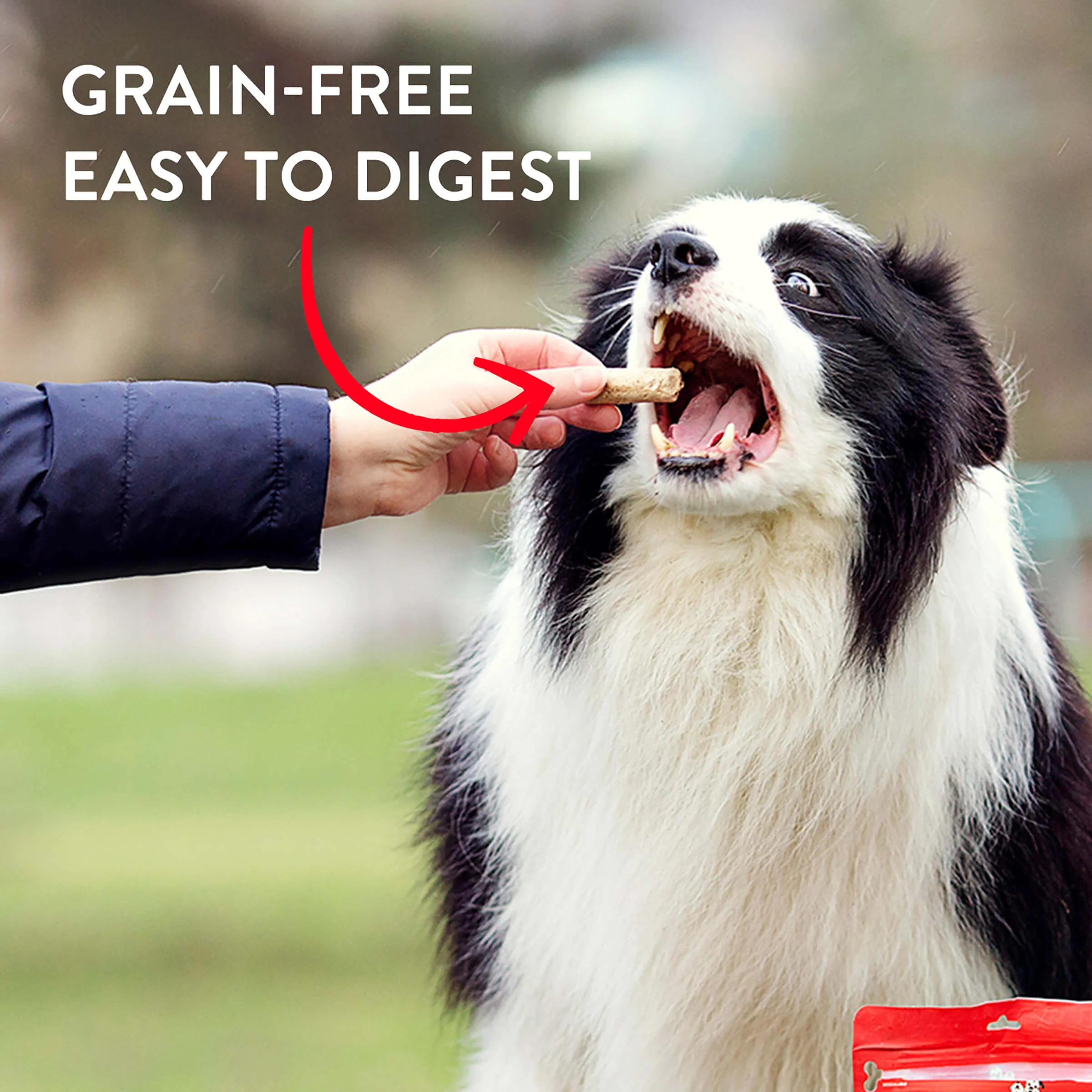 Cage-Free Chicken Wild Weenies for Dogs - Image 6