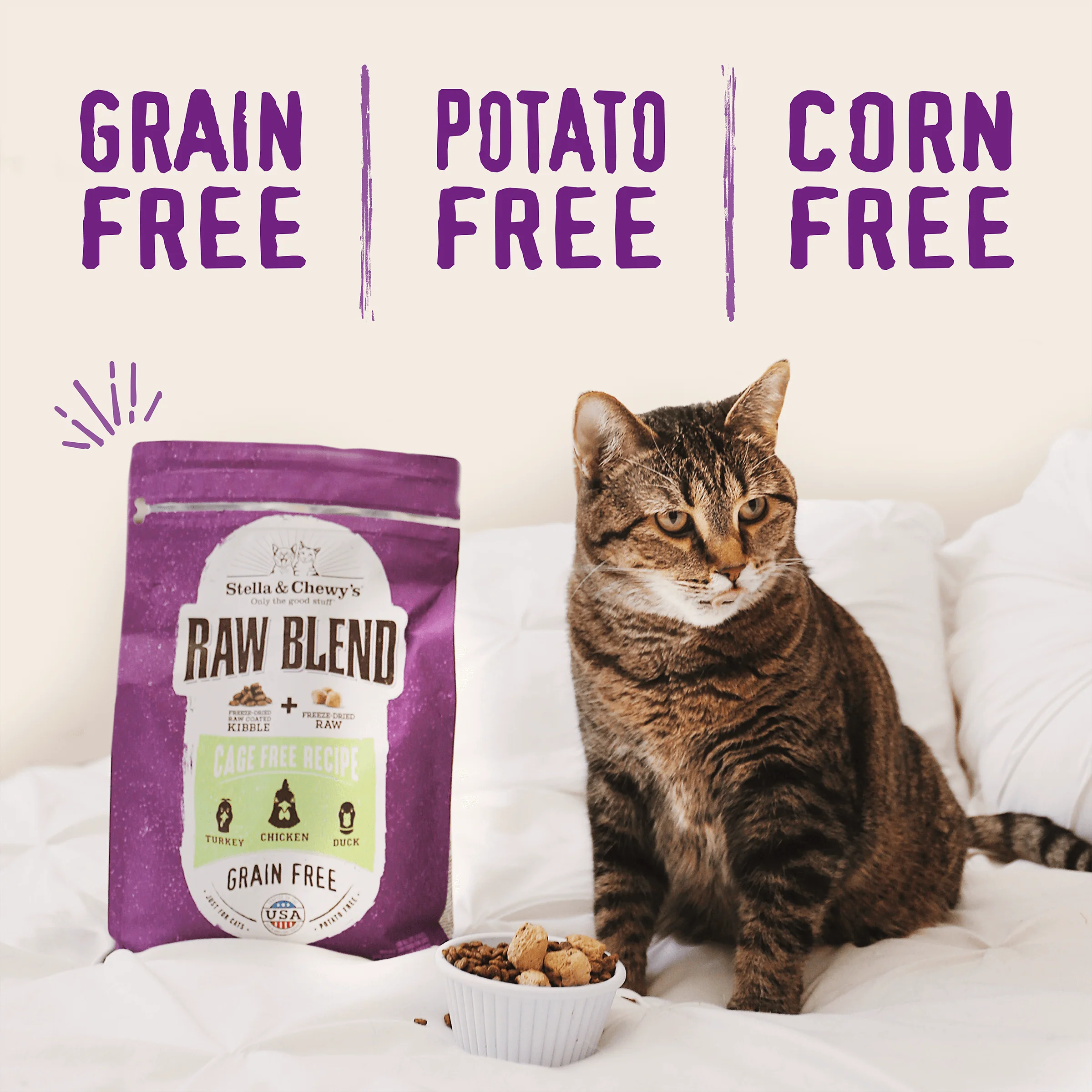 Raw Blend Cage Free Recipe for Cats - Image 4