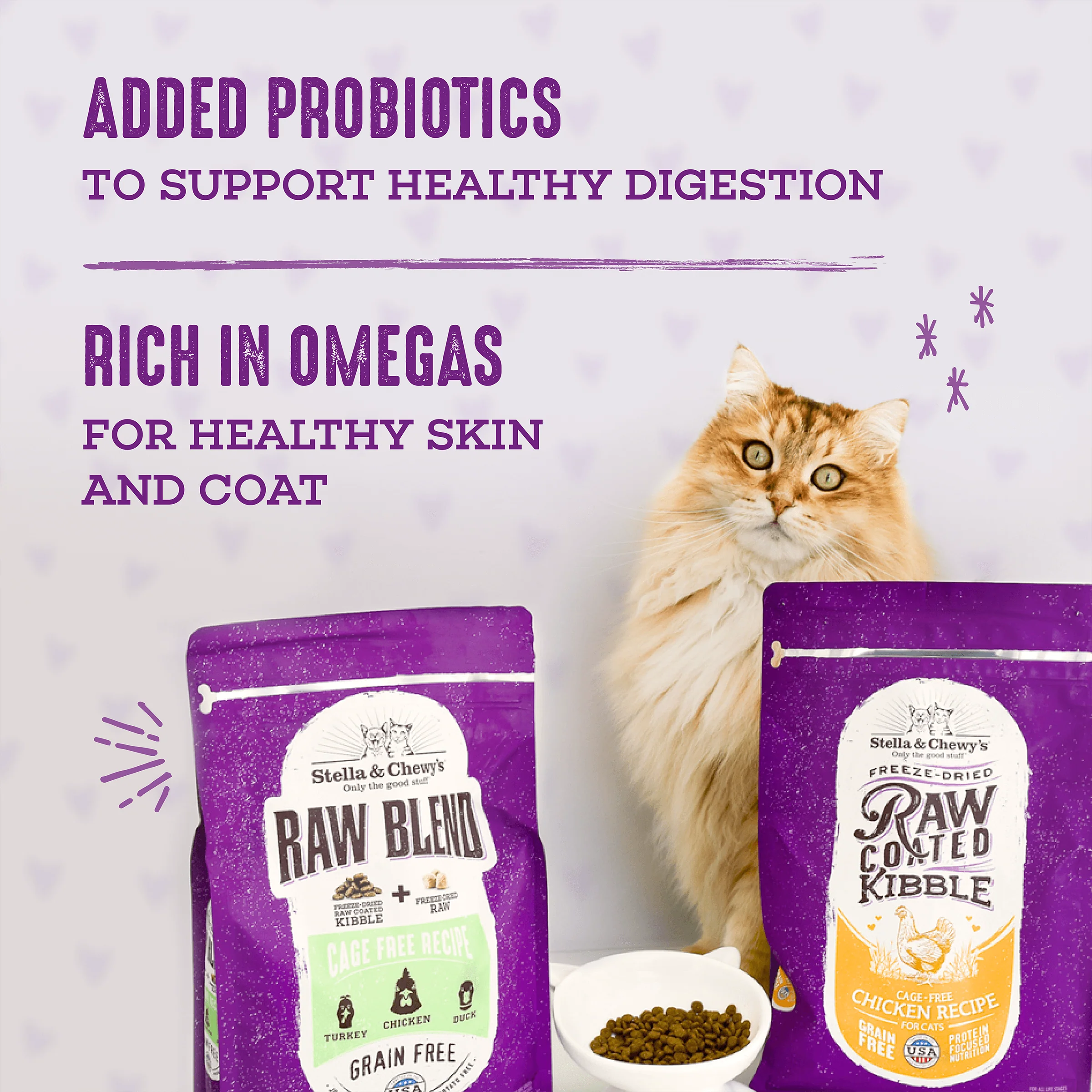 Raw Blend Cage Free Recipe for Cats - Image 5