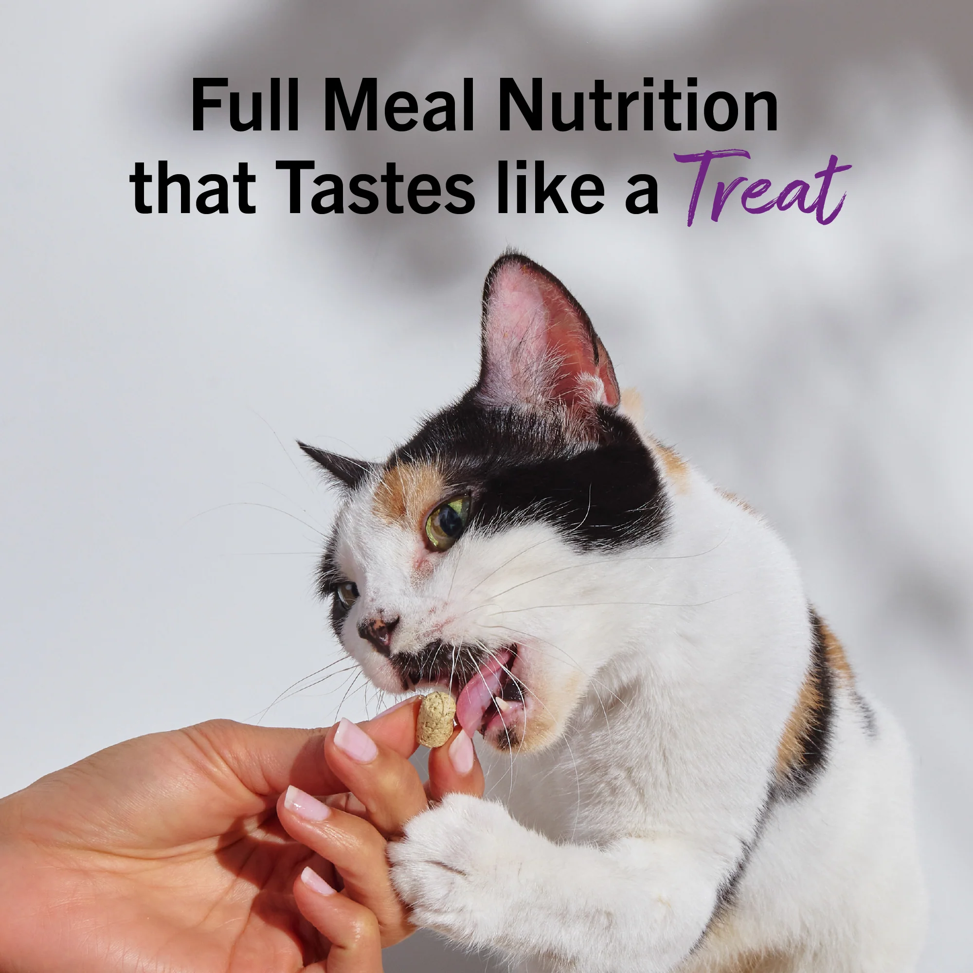 Chick, Chick Chicken Freeze-Dried Raw Dinner Morsels for Cats - Image 13