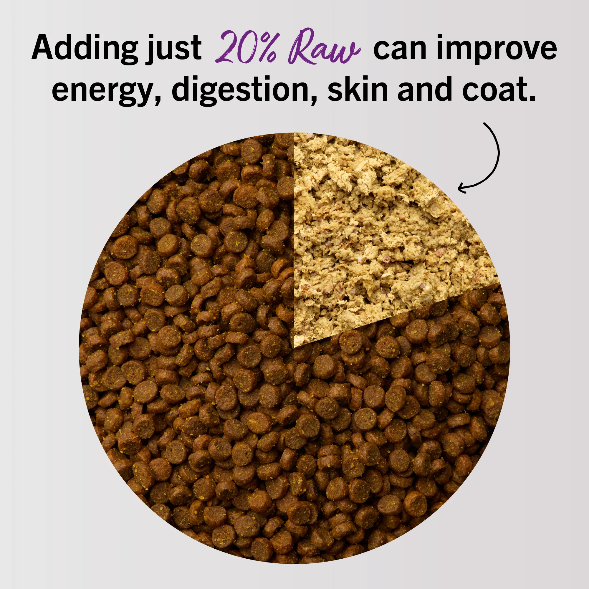 Chick, Chick Chicken Freeze-Dried Raw Dinner Morsels for Cats - Image 7