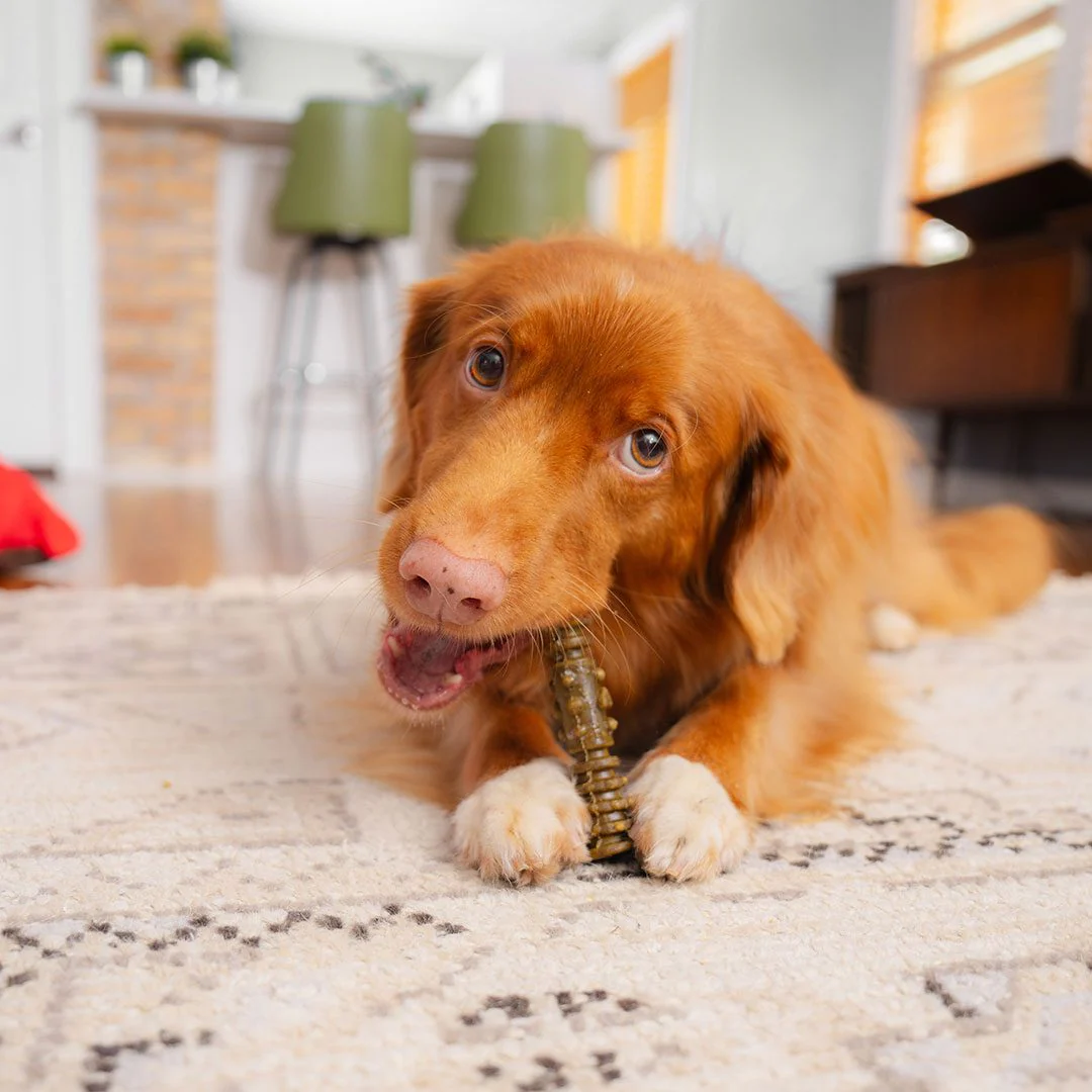 Dental Delights Large Dog Dental Treats - Image 4