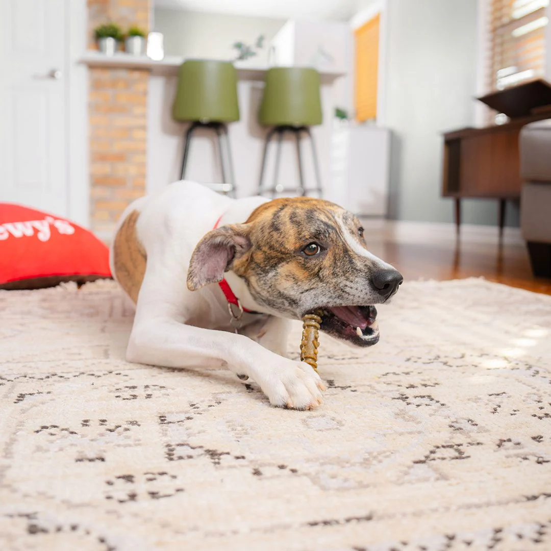 Dental Delights Medium Dog Dental Treats - Image 4
