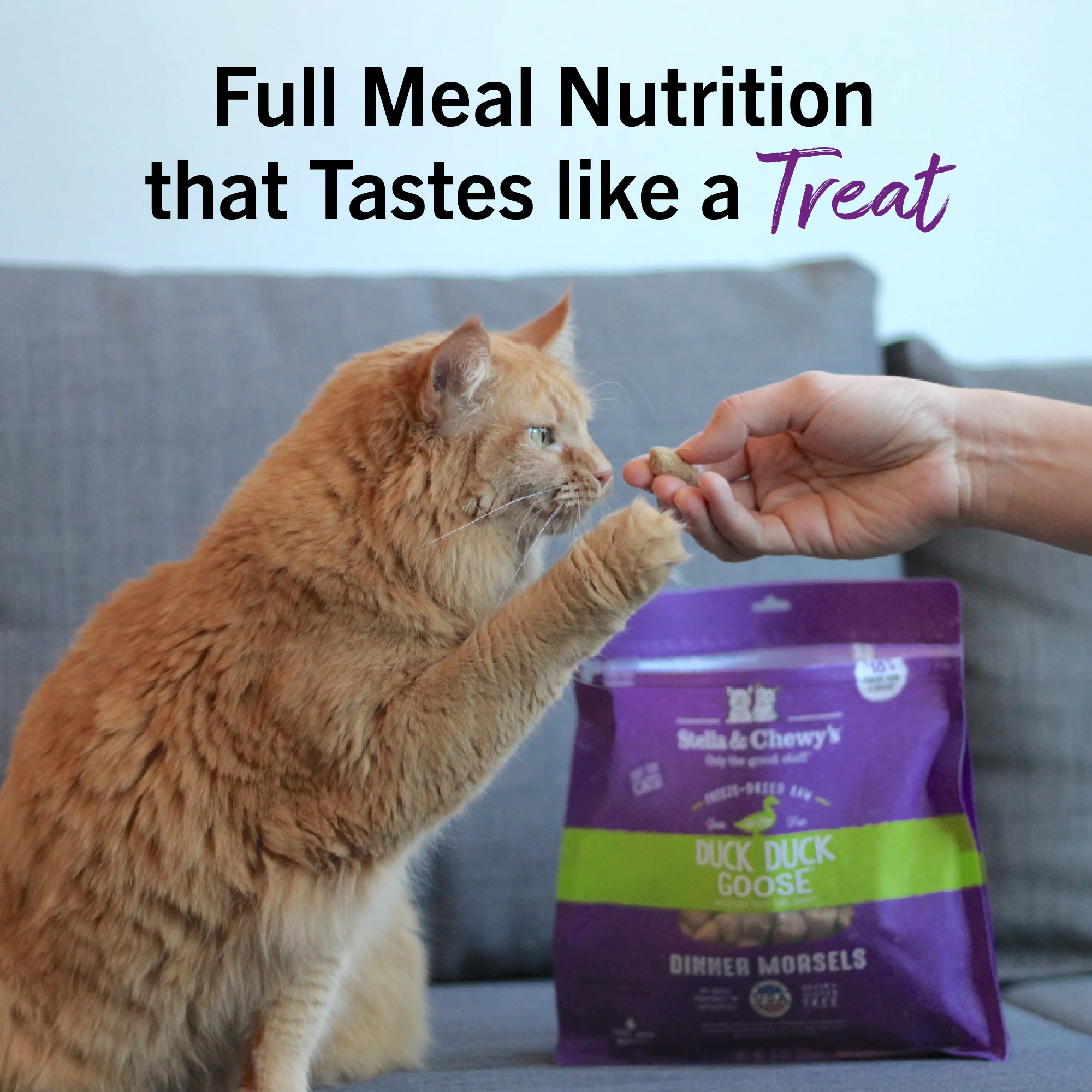 Duck Duck Goose Freeze-Dried Raw Dinner Morsels for Cats - Image 13