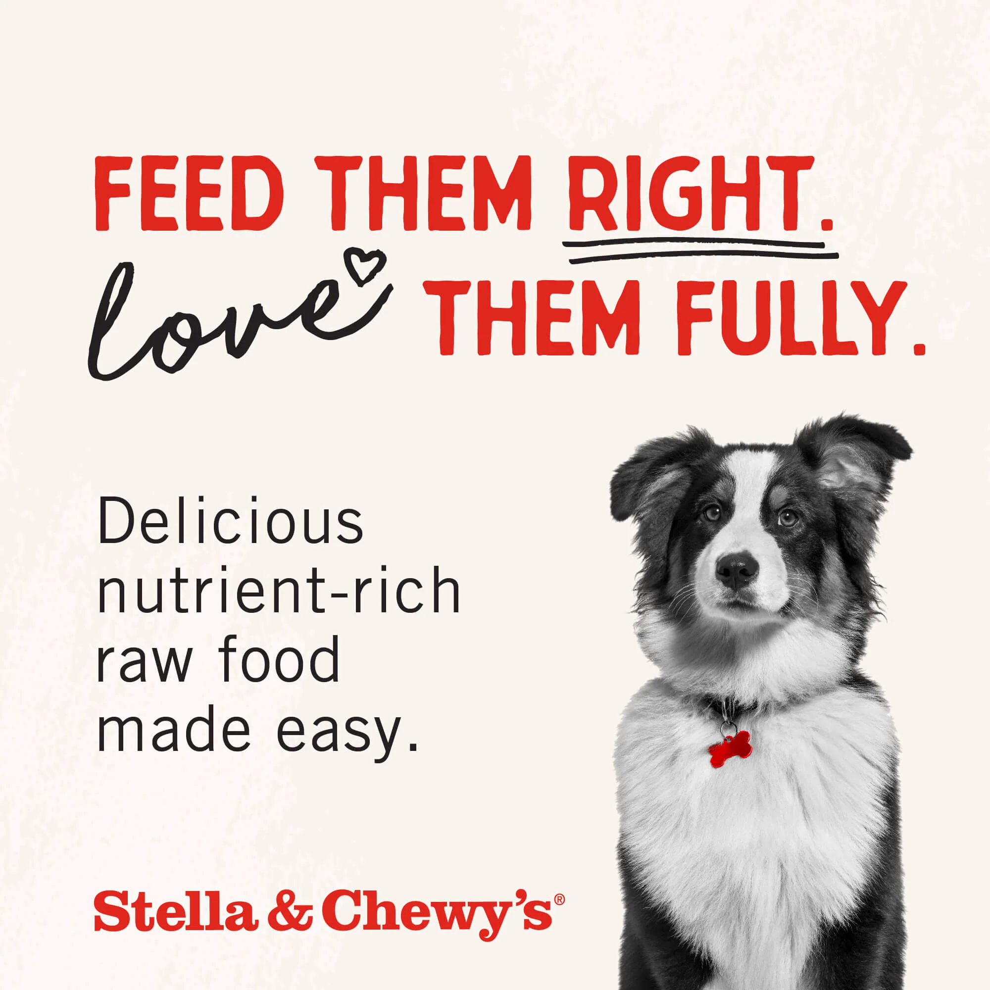 Lamb Liver Treats for Dogs - Image 9