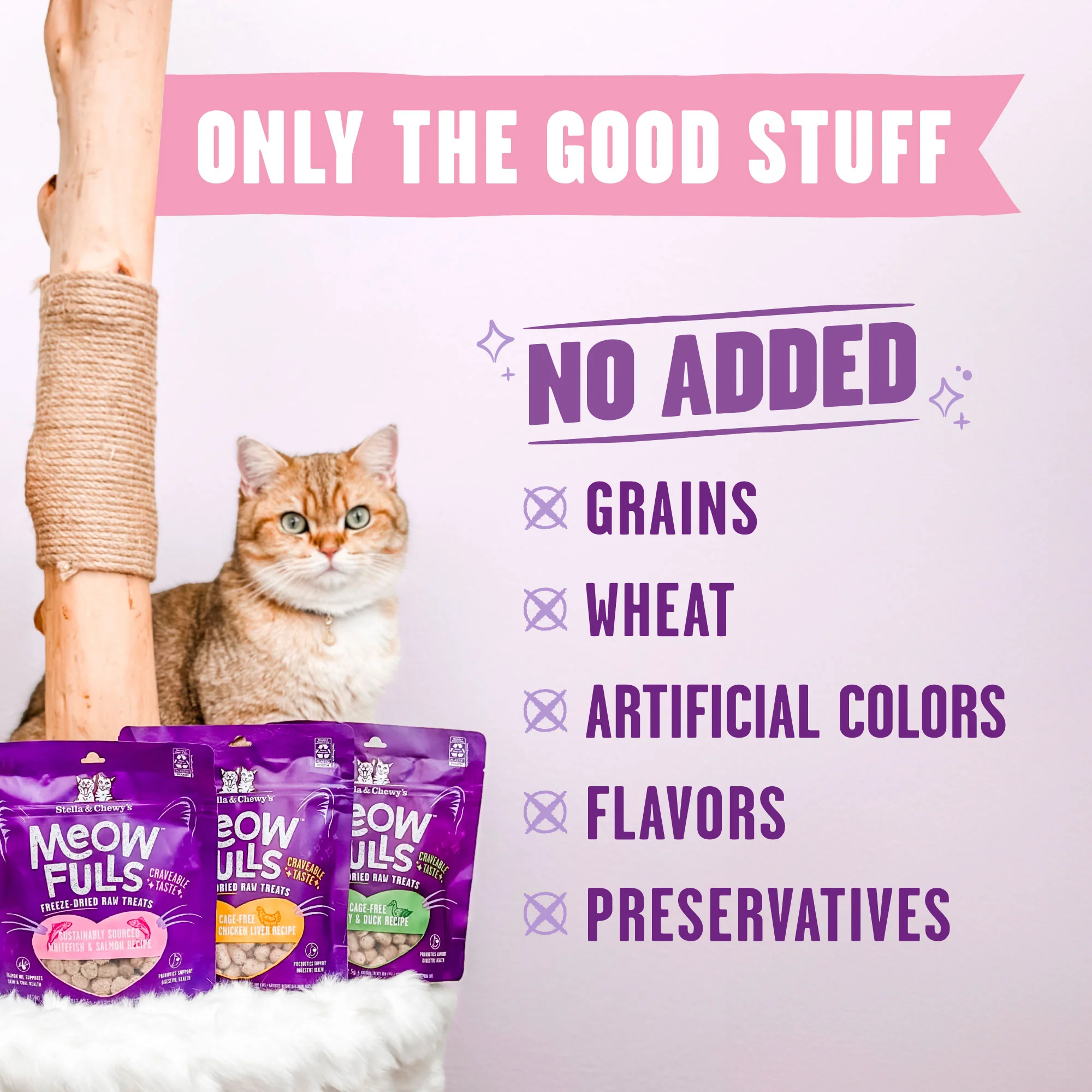 Meowfulls Whitefish & Salmon Cat Treats - Image 6