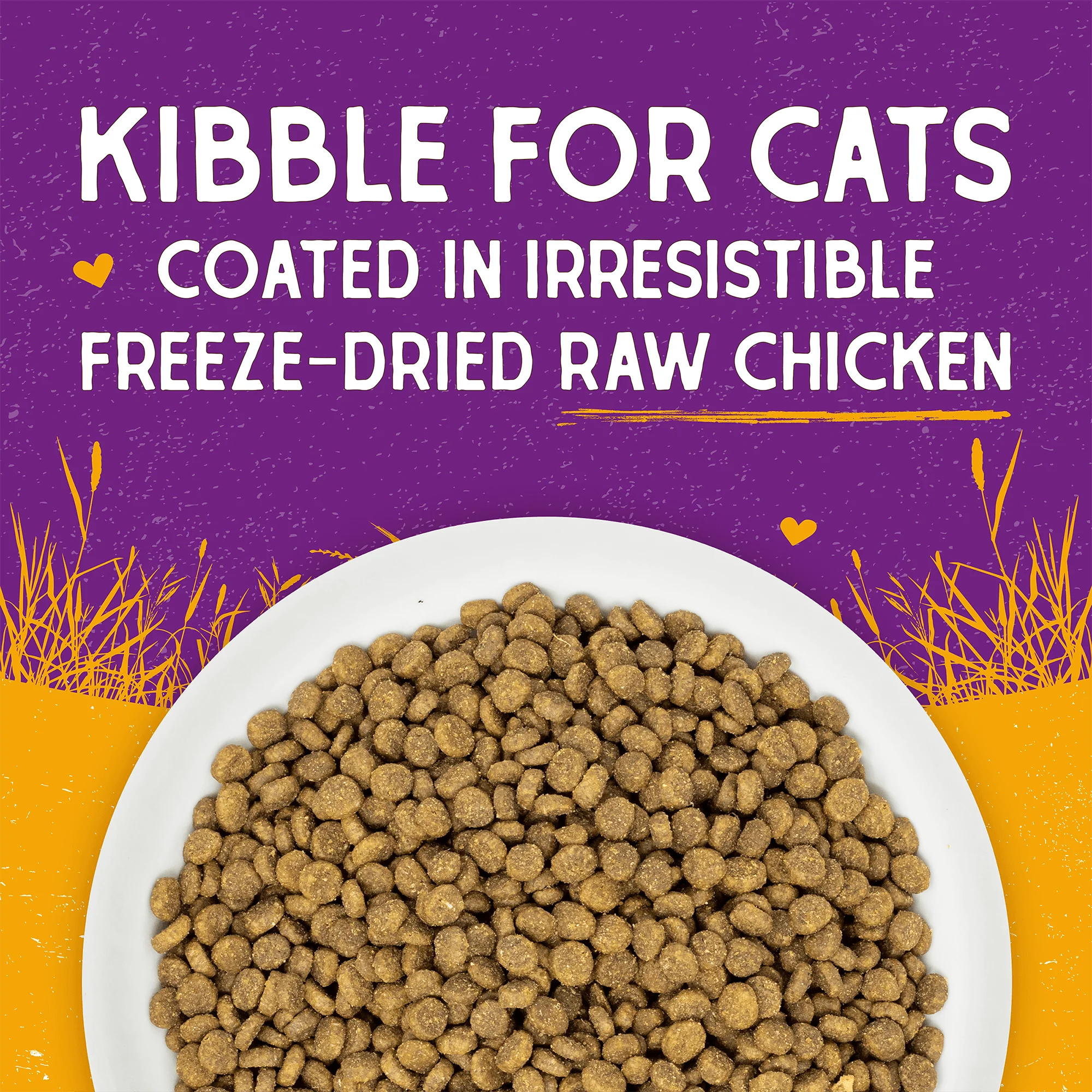 Raw Coated Kibble Cage-Free Chicken Recipe for Cats - Image 4