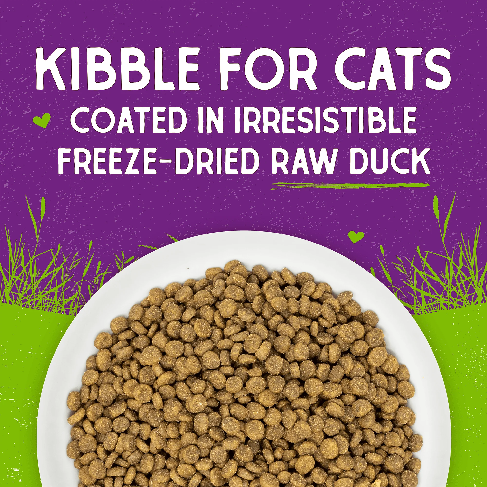 Raw Coated Kibble Cage-Free Duck Recipe for Cats - Image 5