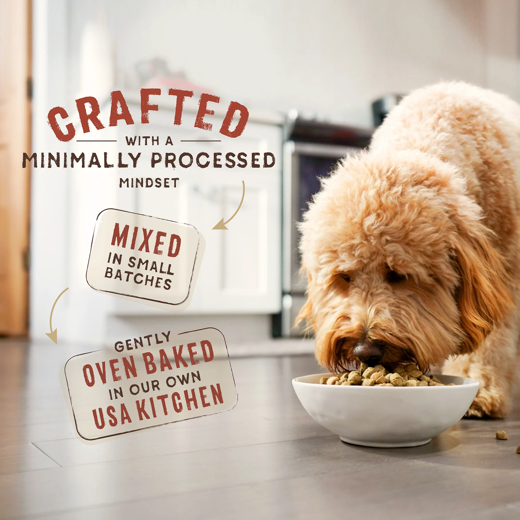 SuperBlends Raw Blend Beef, Beef Liver & Lamb Recipe + Superfoods for Dogs - Image 4