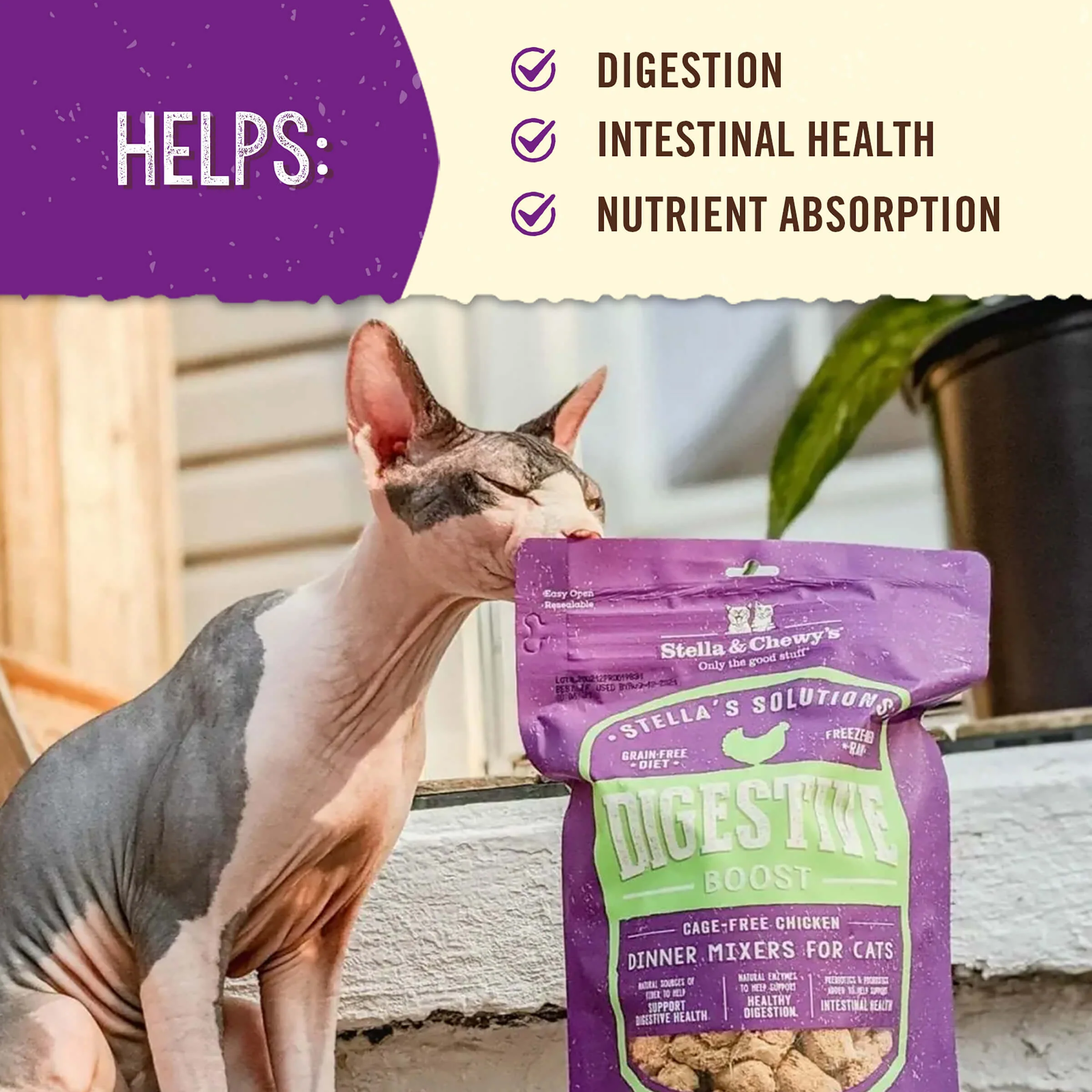 Stella’s Solutions Digestive Support for Cats - Image 4