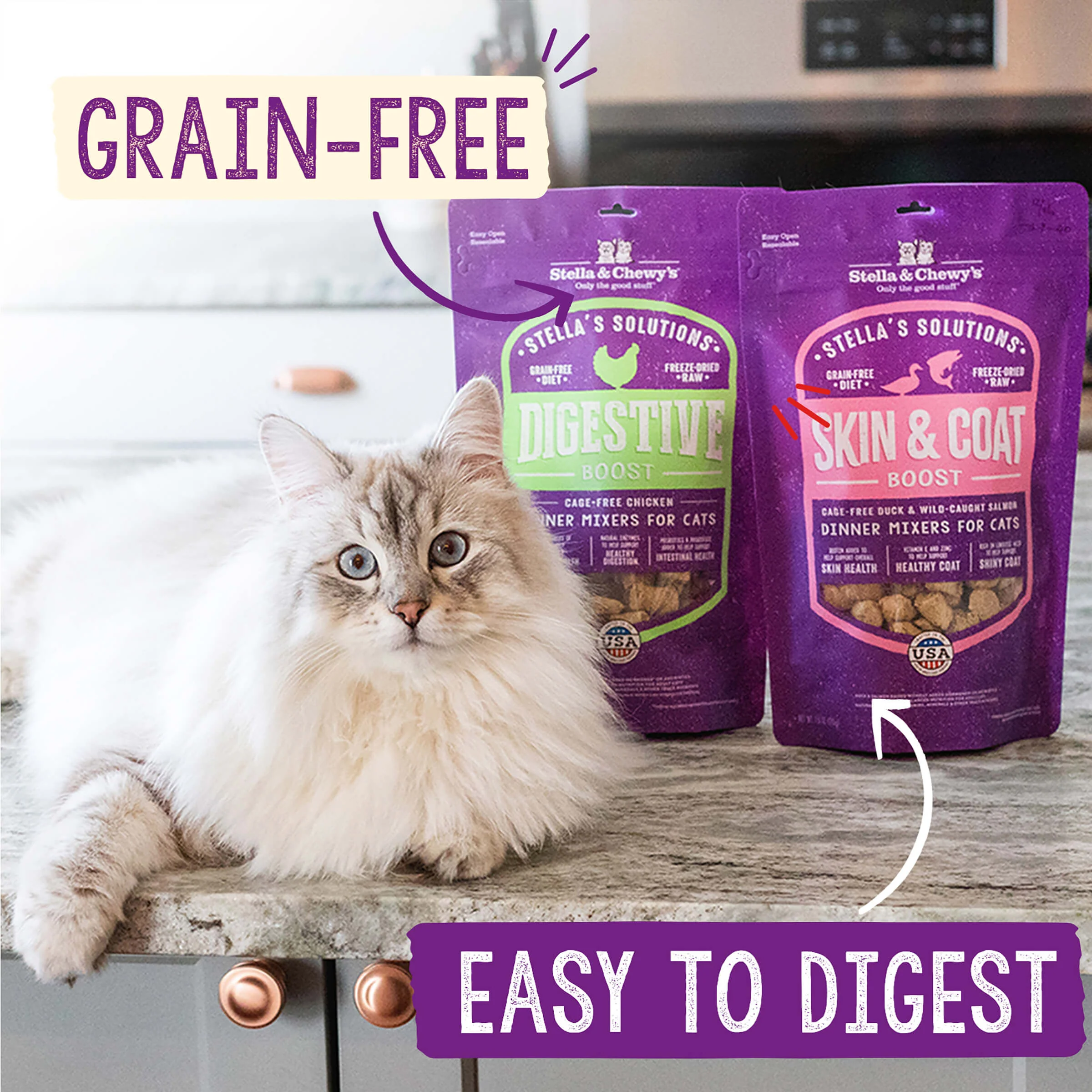 Stella’s Solutions Digestive Support for Cats - Image 6