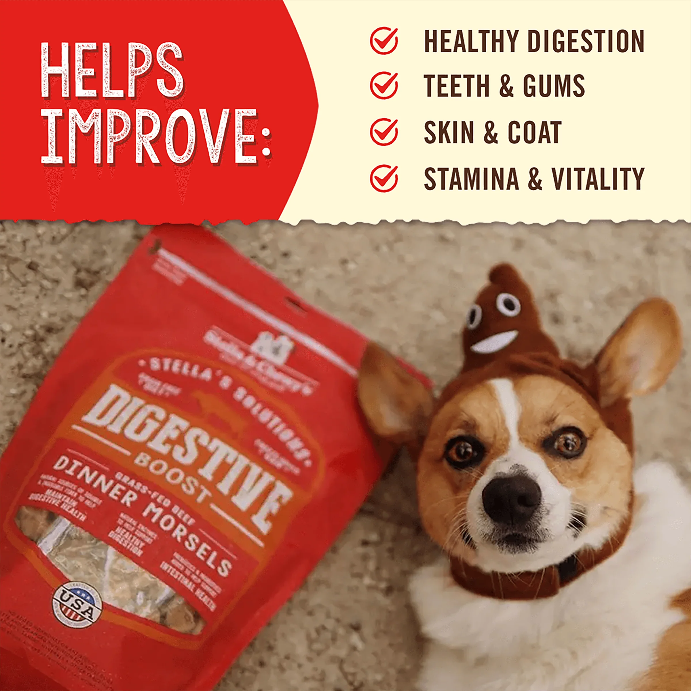 Stella’s Solutions Digestive Support for Dogs - Image 4