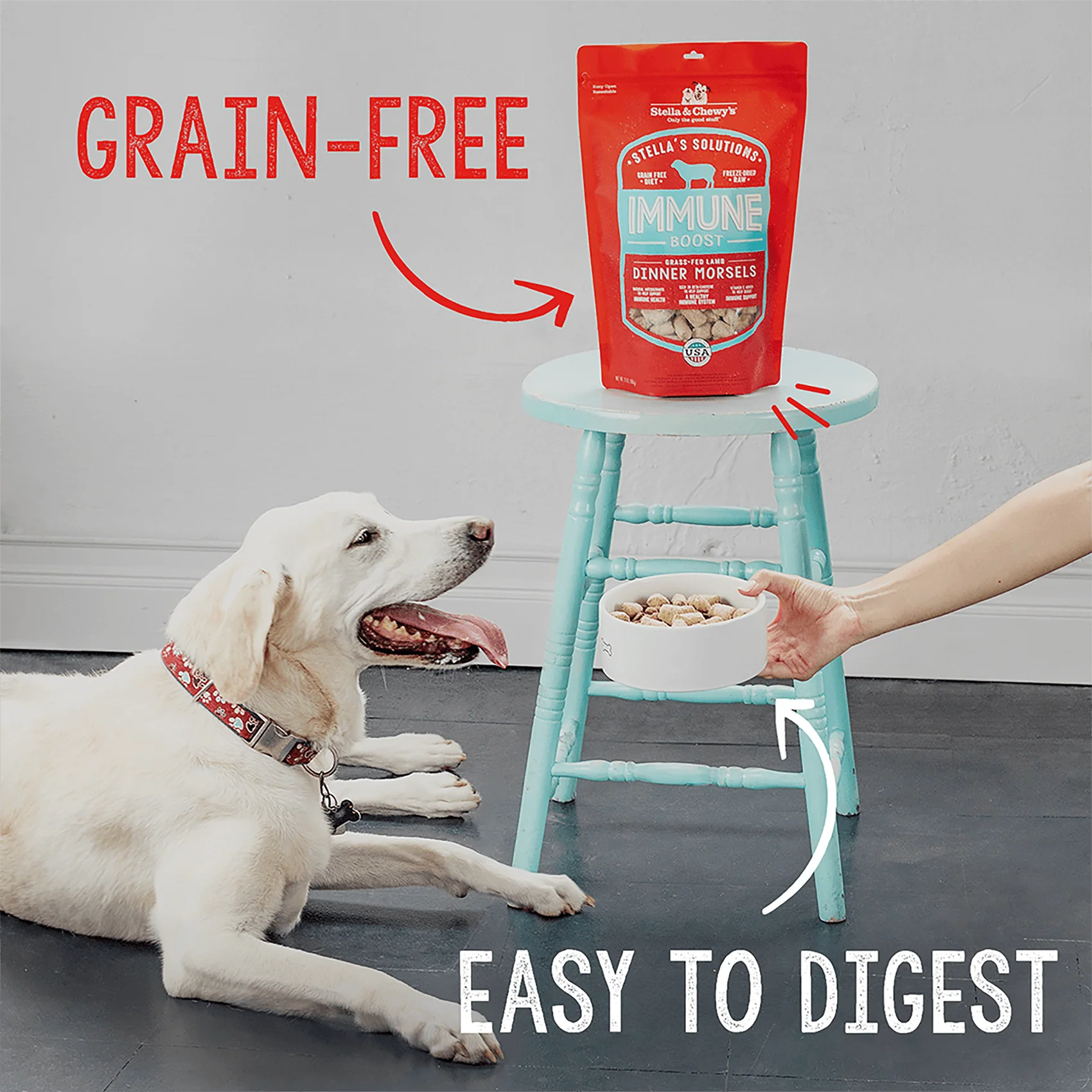 Stella’s Solutions Digestive Support for Dogs - Image 6