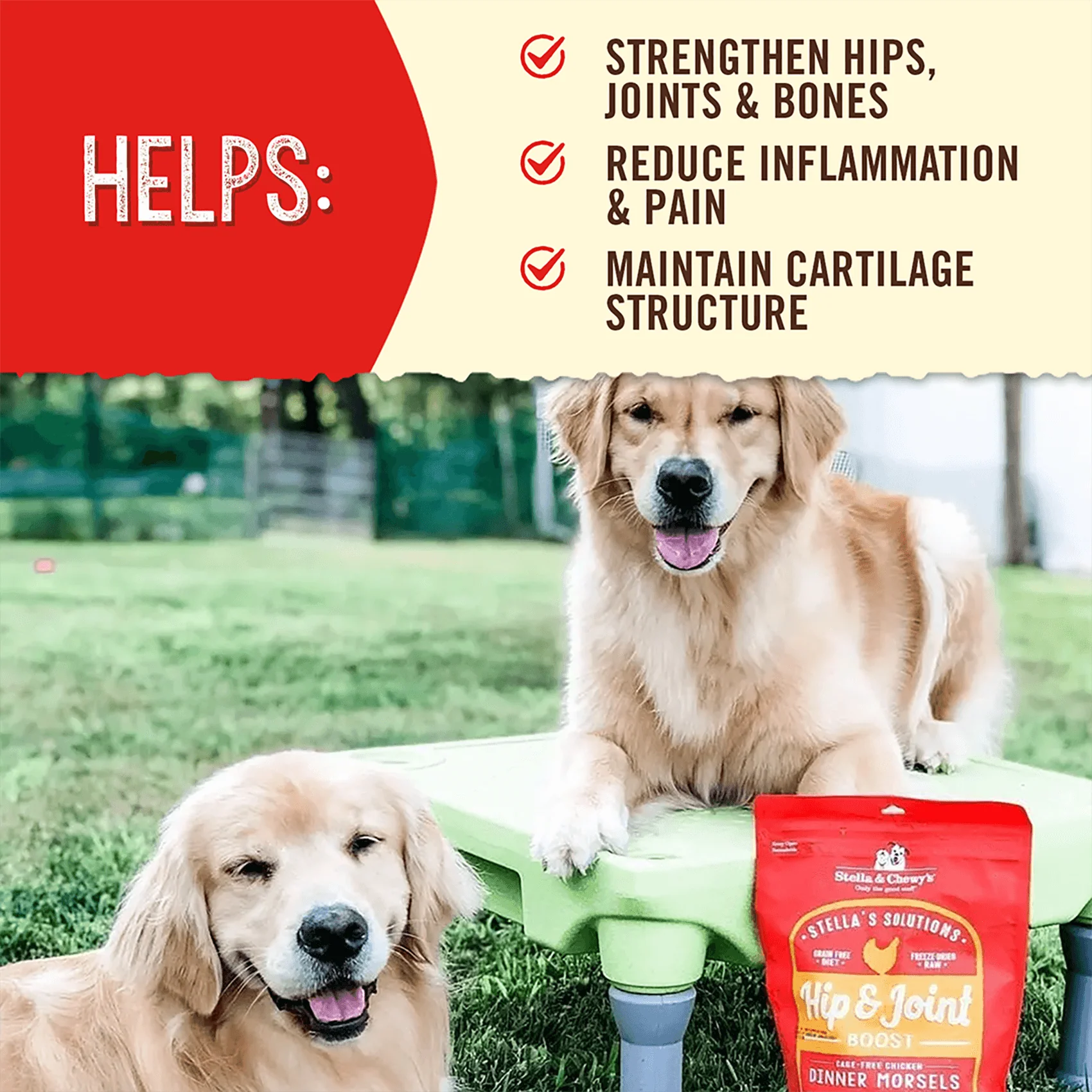 Stella’s Solutions Hip & Joint Support for Dogs - Image 4