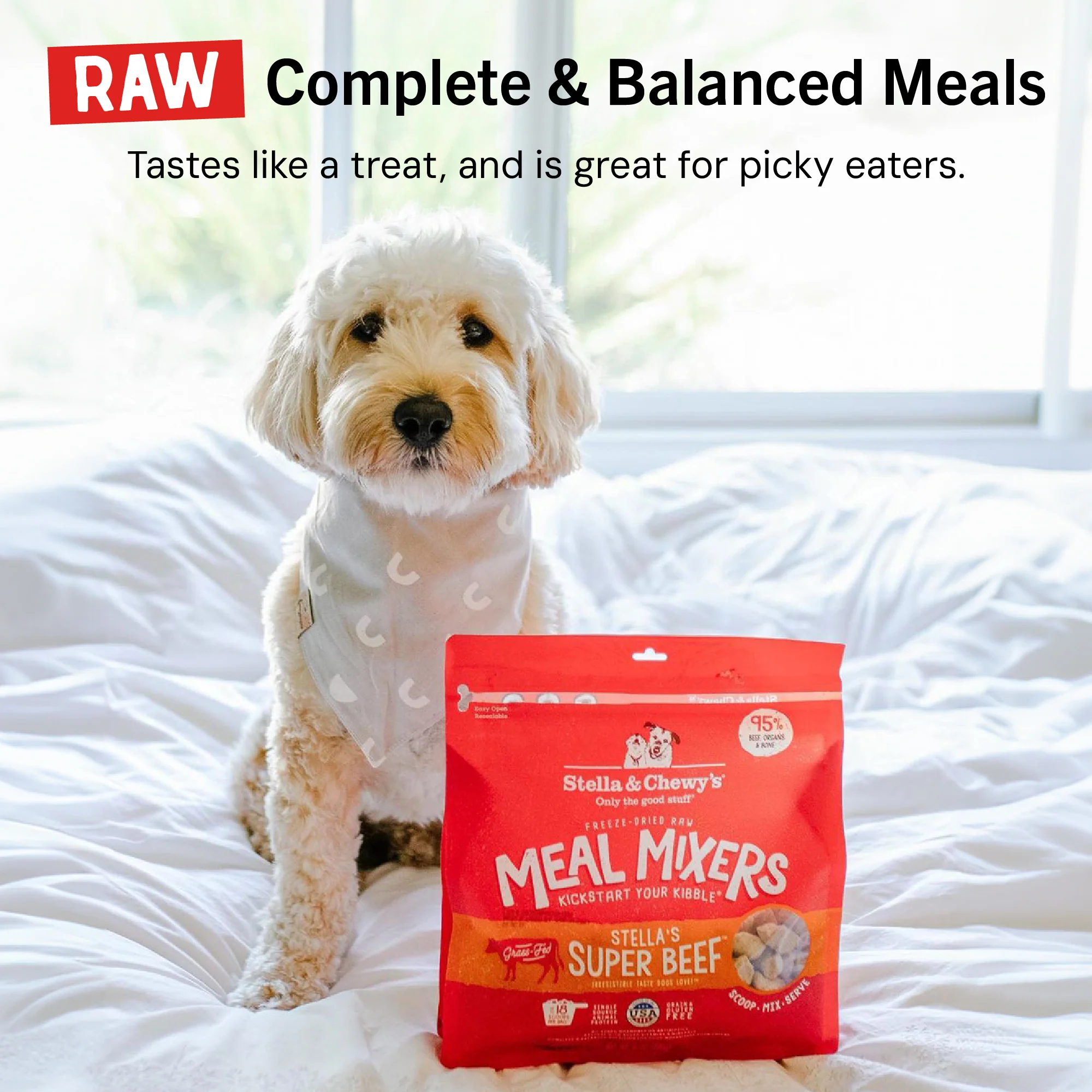 Stella’s Super Beef Meal Mixers for Dogs - Image 14