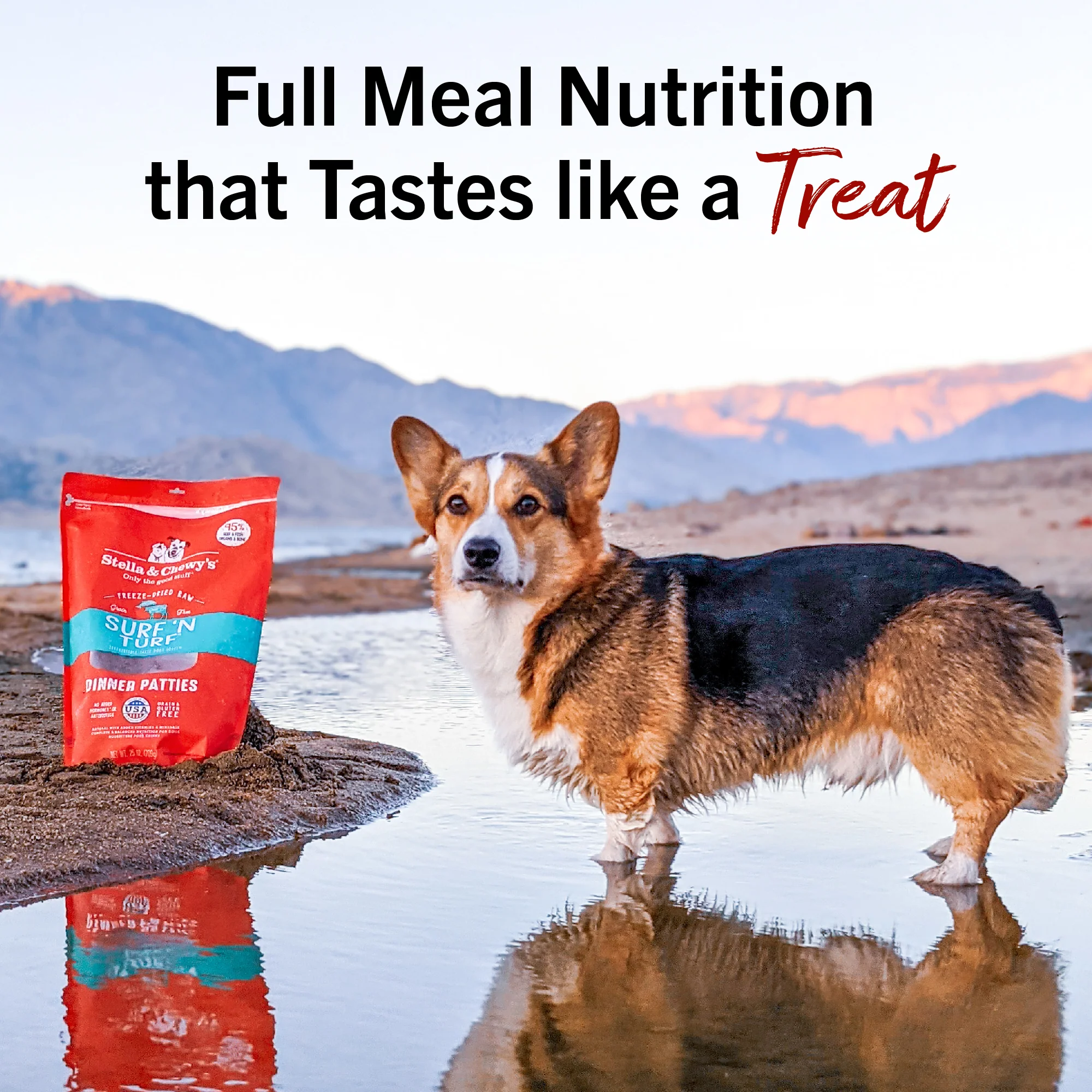 Surf ‘N Turf Freeze-Dried Raw Dinner Patties for Dogs - Image 13