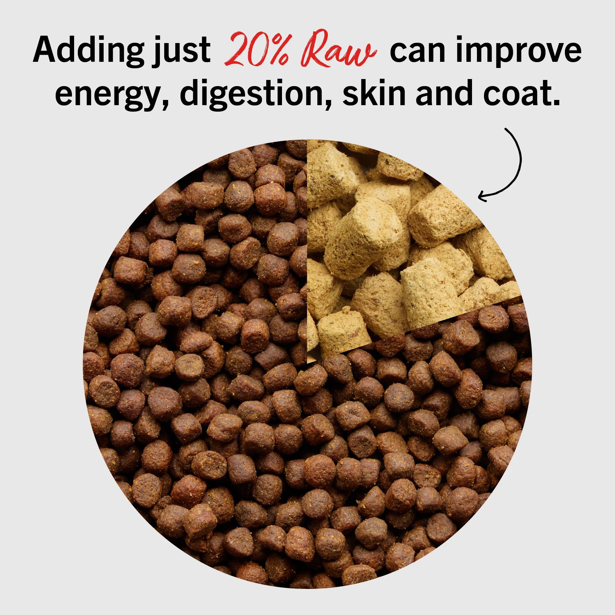 Savory Salmon & Cod Meal Mixers for Dogs - Image 7