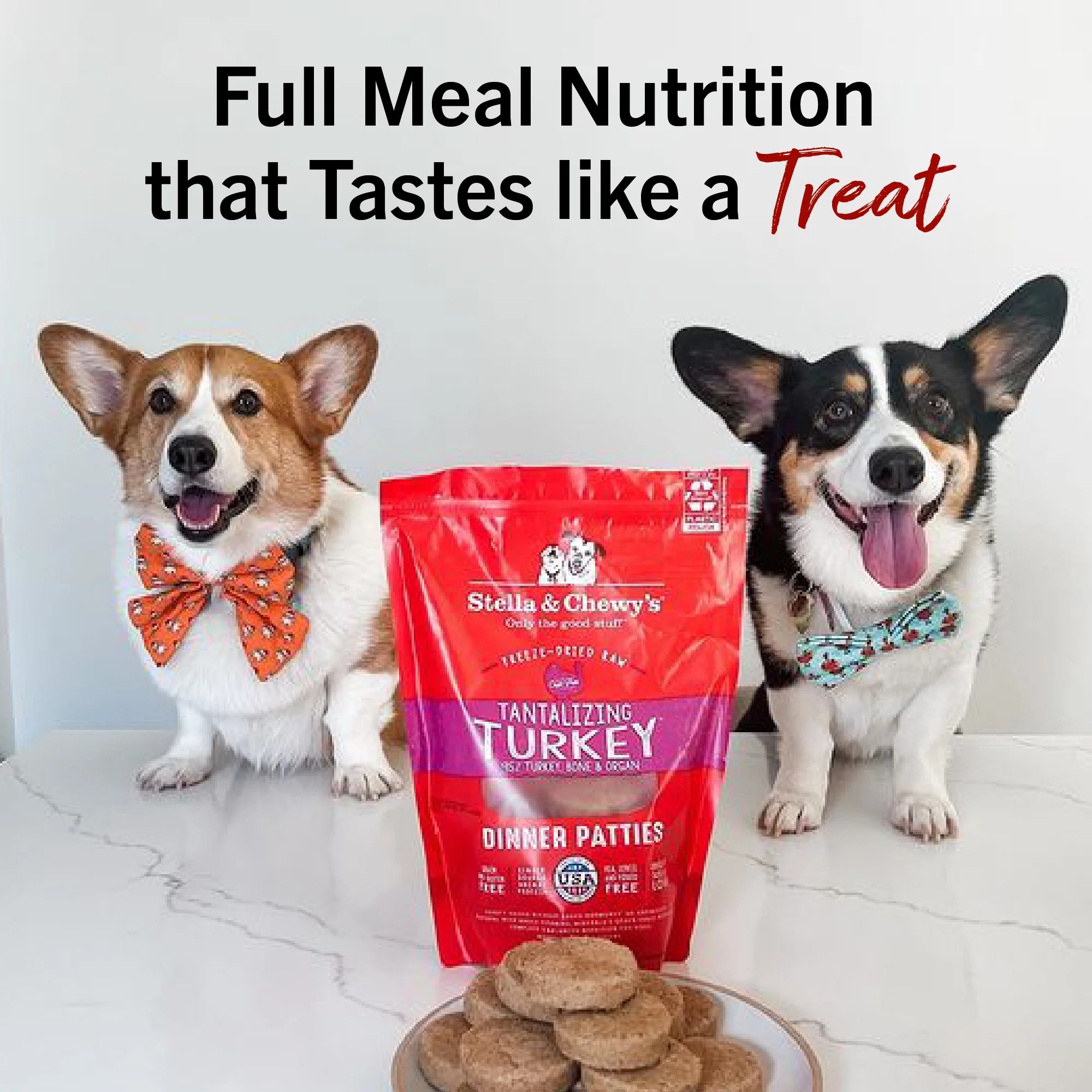 Tantalizing Turkey Freeze-Dried Raw Dinner Patties for Dogs - Image 12