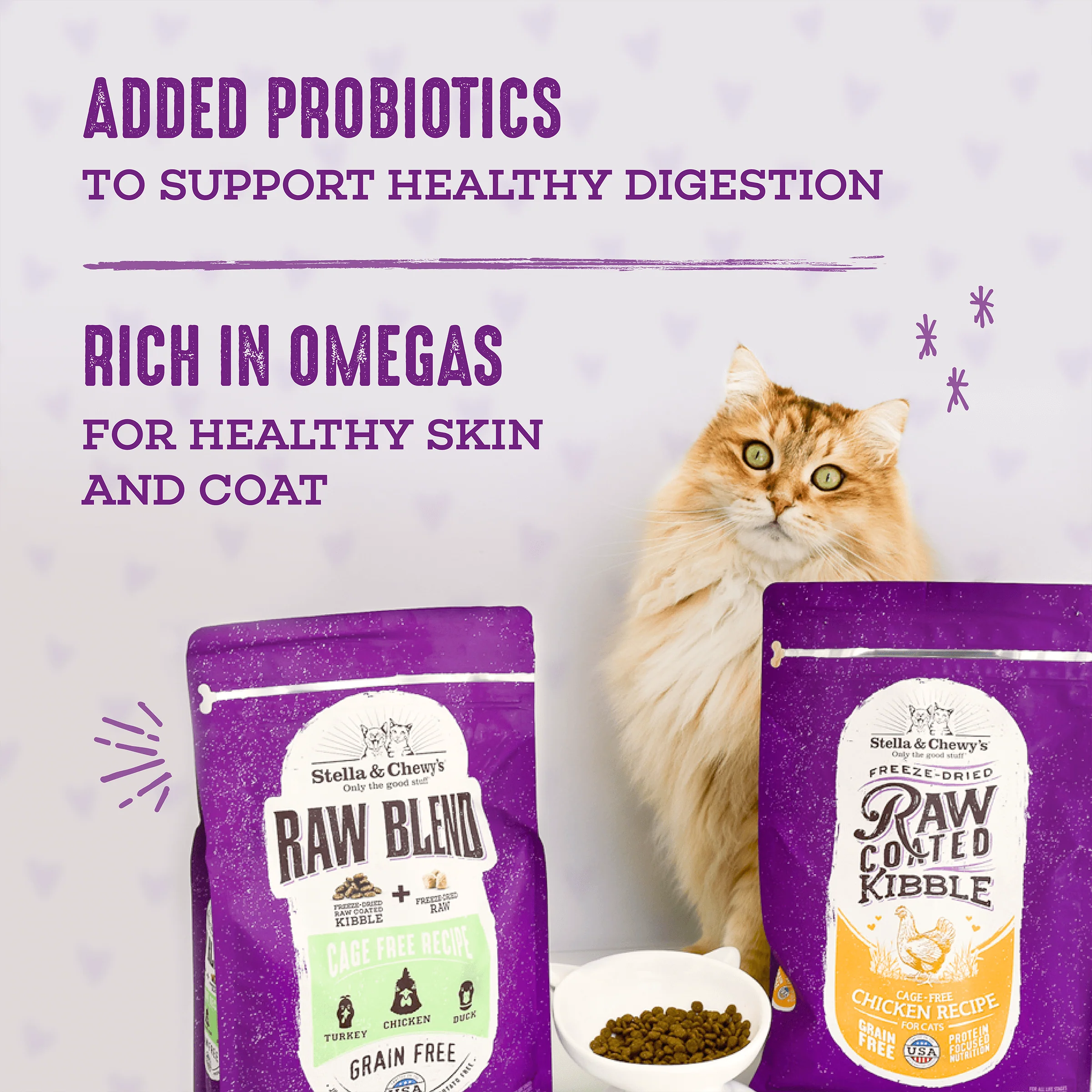 Raw Blend Kibble Wild Caught Recipe for Cats - Image 5