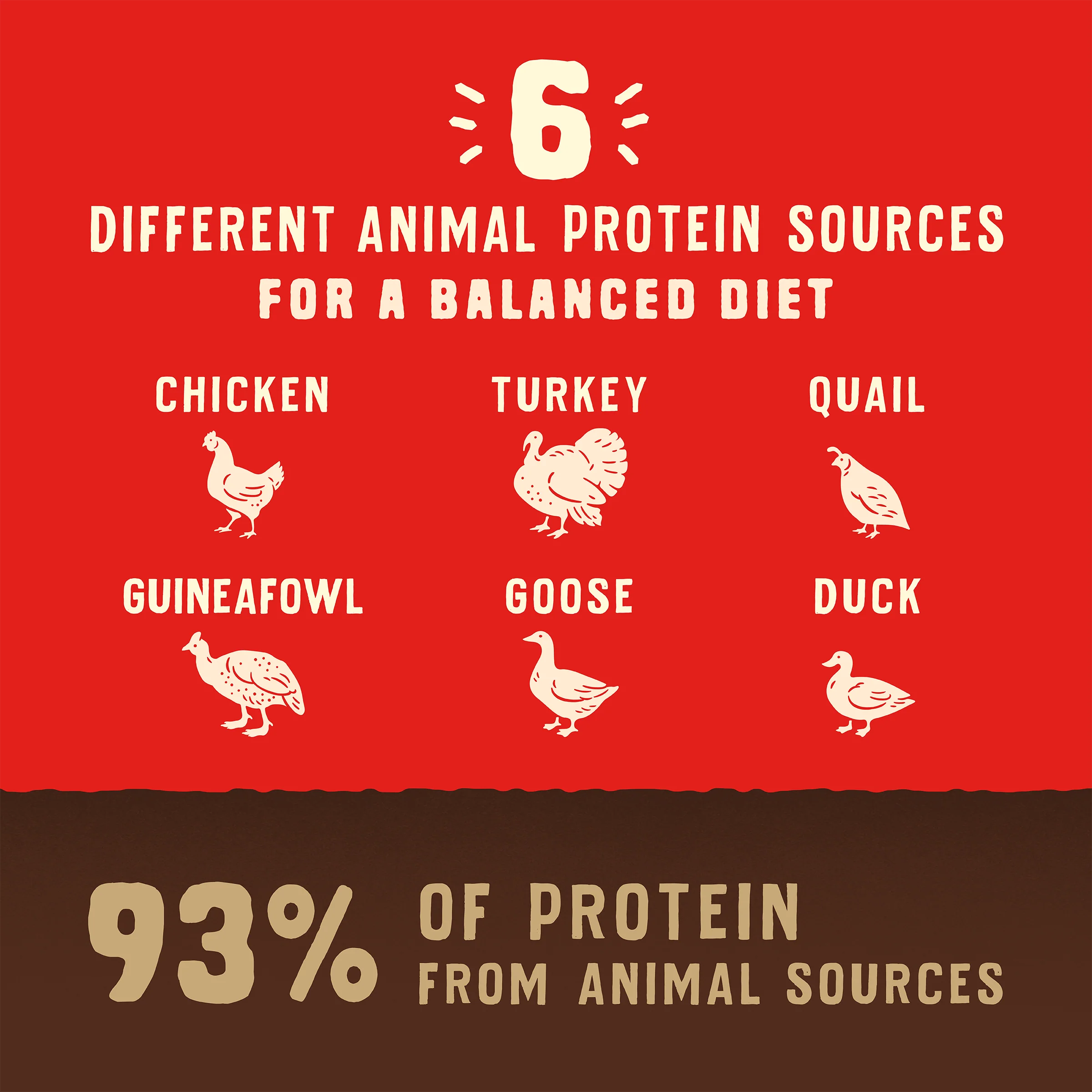 Wild Red Raw Blend Grain & Legume Free Prairie Recipe for Dogs - Image 5