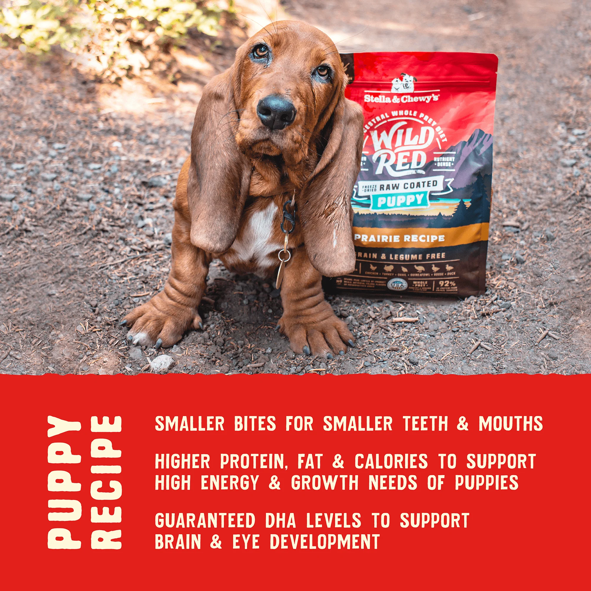 Wild Red Raw Coated Grain & Legume Free Prairie Recipe for Puppies - Image 6