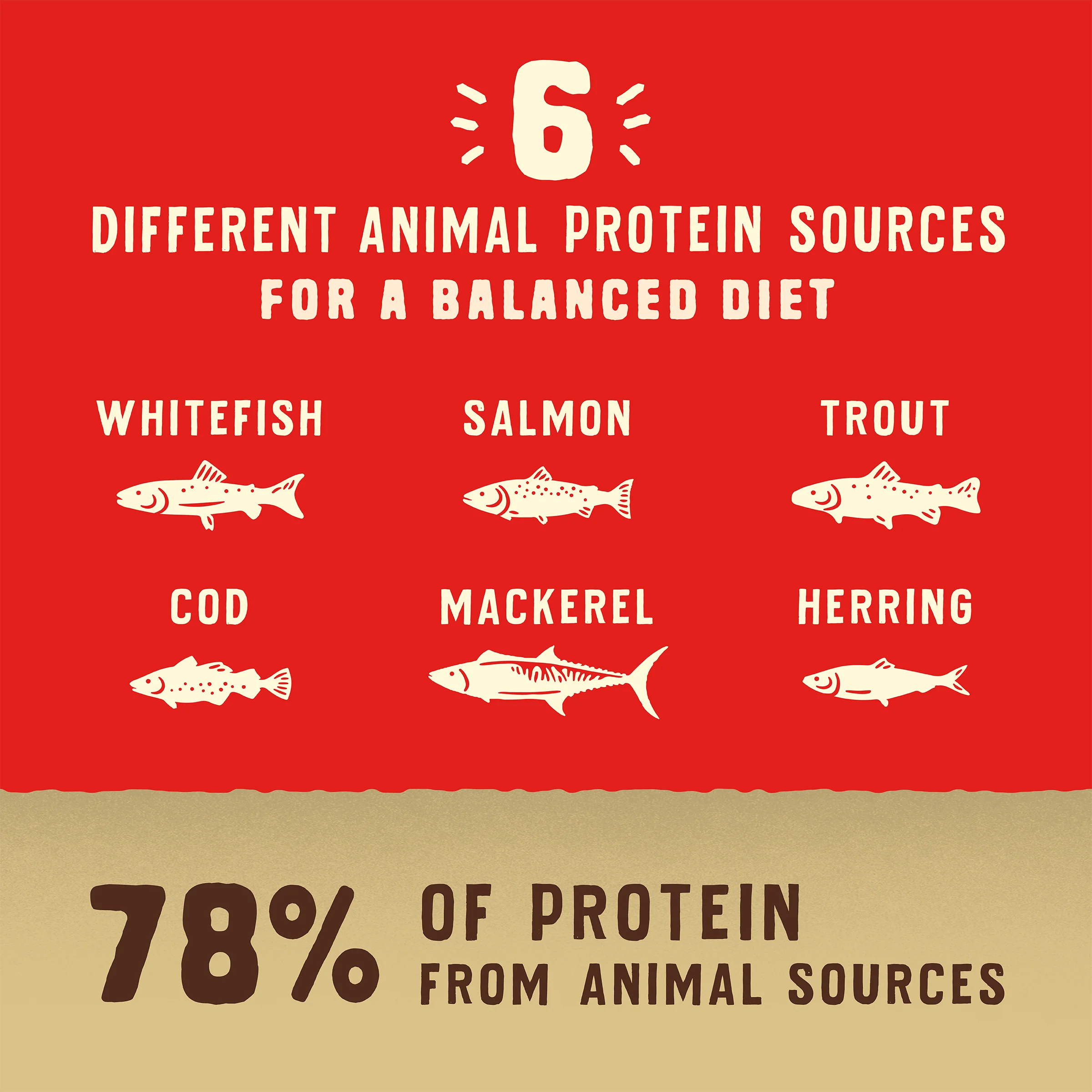 Wild Red Raw Coated Wholesome Grains Ocean Recipe for Dogs - Image 6